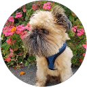 Zoya F. profile picture